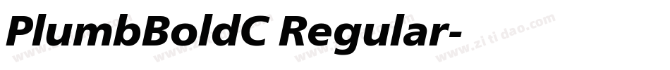 PlumbBoldC Regular字体转换